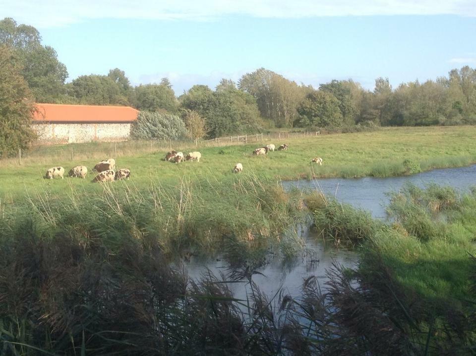 Lackford Lakes Barns Flempton Exterior foto